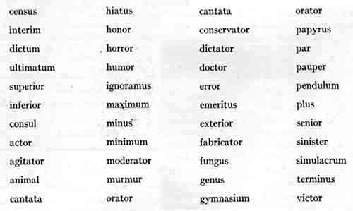 Latin Dictionary Words