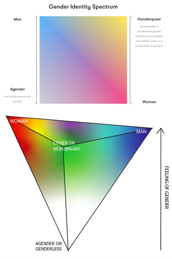 Gender spectrum charts