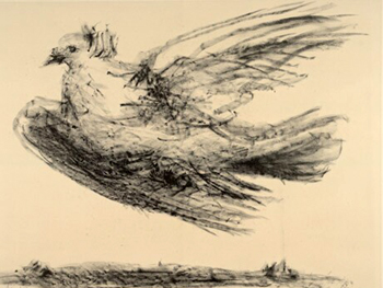 A Dove, sketched by Picasso