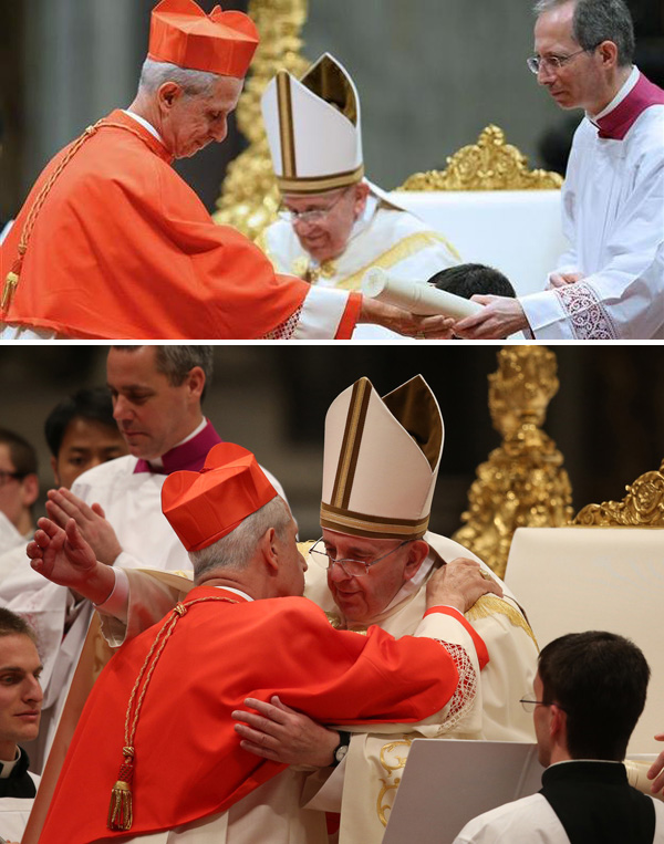 Cardinal Mario Ploi