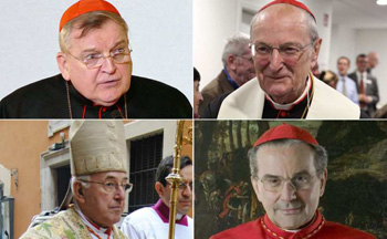 Cardinals who wrote Dubia