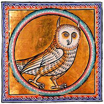 horned owl medieval mansucript