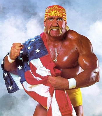hulk hogan