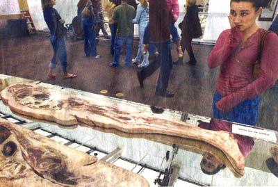 A cross section of a cadaver displayed at the Body Works exhibit