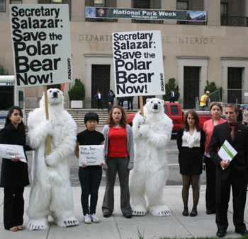 Greenpeace demosntrators dressed as polar bears
