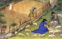 The July Shearing season, Book of Hours