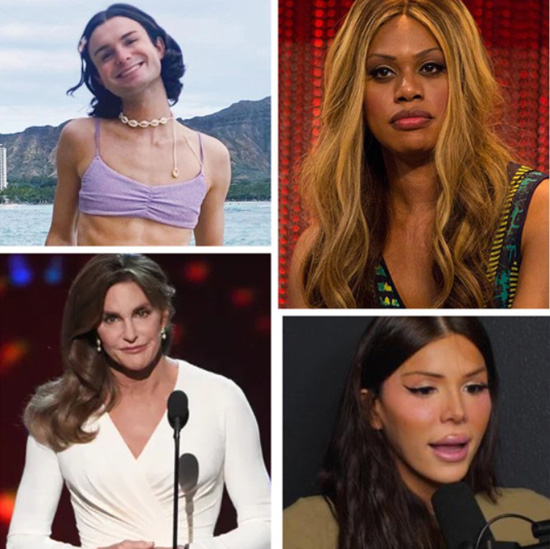 Ridiculous MTF transgenders