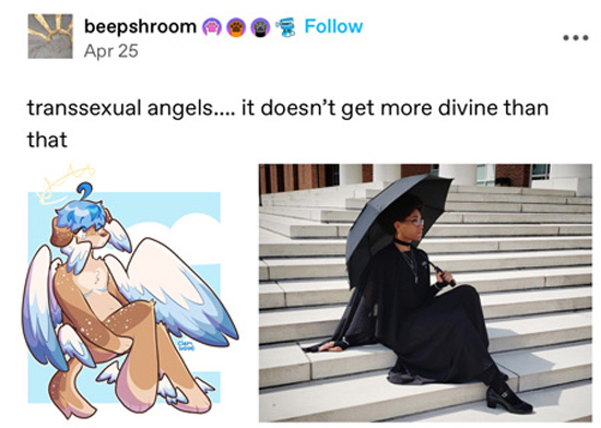 Transgender angelkins