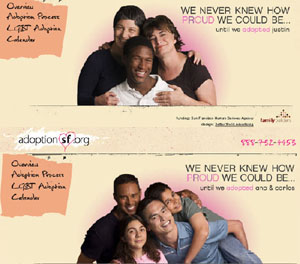 Adoptions by gay and lesbians