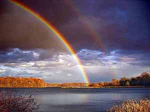 A Rainbow soars over creation