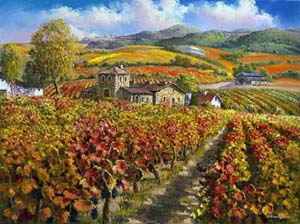 A picturesque vineyard