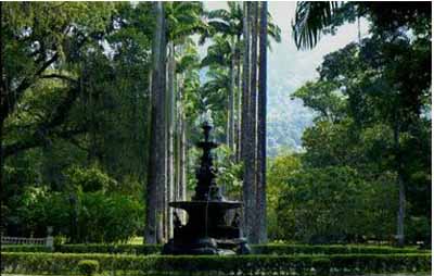 Jardim Botanico, Botanic Garden, Rio