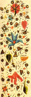Medieval depictions of leaves and seeds