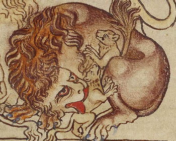 lion medieval
