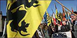 Flemish separatist - flag