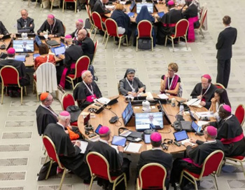 Electronic vote in the synod