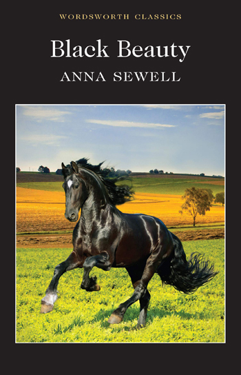 Black Beauty: A Sentimental Worldview that Wrongly Humanizes Animals - Book  review of Black Beauty by Elizabeth Lozowski