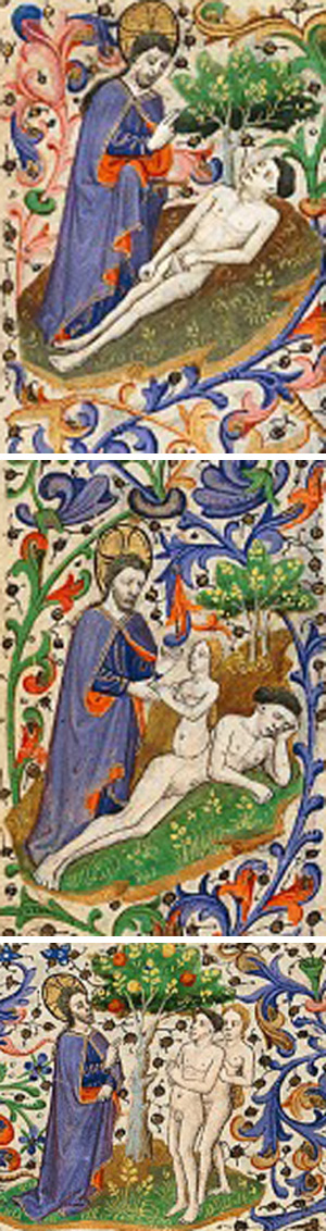 Medieval illuminated manuscript showing Adam and Eve in Paradise