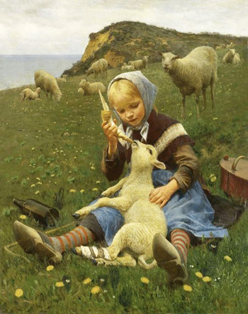 Girl feeding a sheep