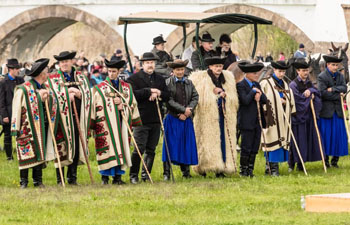 hungarian shepherds