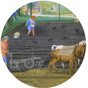 farmer